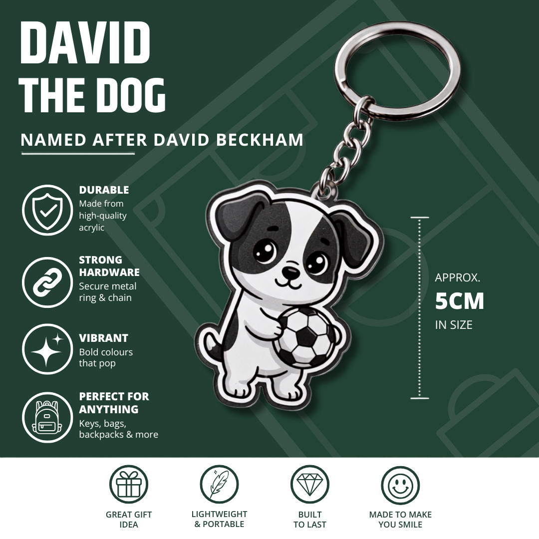 David the Dog Football Keyring