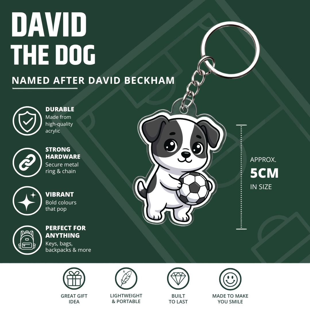 David the Dog Football Keyring